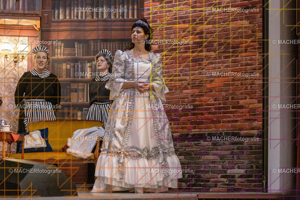 323_MFL-2025 | Portraitbilder von Regisseur; Darsteller; Techniker; Maske; Kostüme; Chor; Musiker; Bilderserie der Generalprobe und der Premierenvorstellung, Szenenbilder; Ausdrucksstudien; Bühnenüberblick; Bühnenkulissen; Pressefotos inkl. Redaktionsfoto Darstellergruppe.