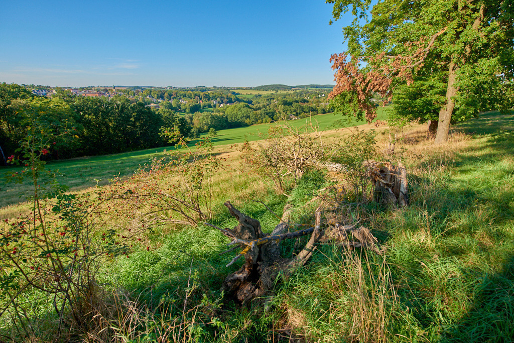 Blick nach Netzschkau 03 | Bedeutsame Landschaften Deutschlands - Realisiert mit Pictrs.com