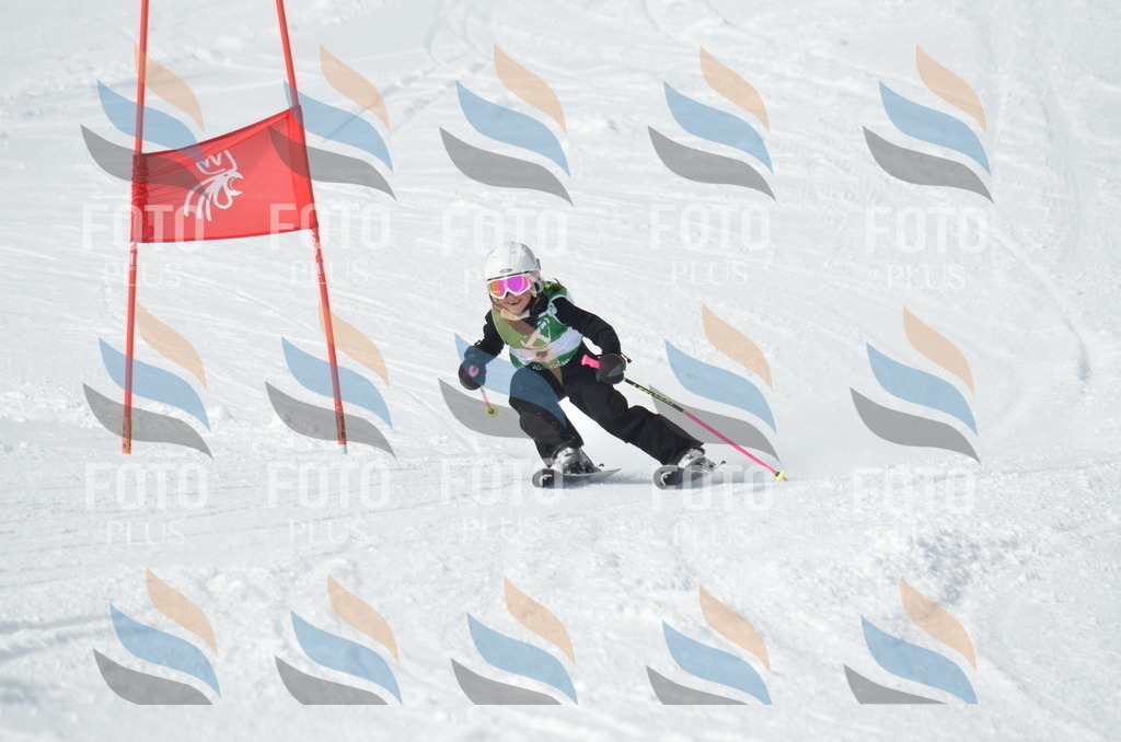 D8489 | holidayphoto