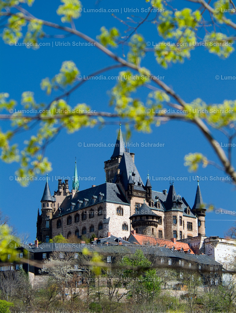 00491-1372 - Schloss Wernigerode | Stockfoto und Bilderpool mit Bildmaterial aus Deutschland, dem Harz, Halberstadt, Quedlinburg, Wernigerode und weltweit. Qualitativ hochwertige und professionelle Fotos anschauen und kaufen. - Realisiert mit Pictrs.com