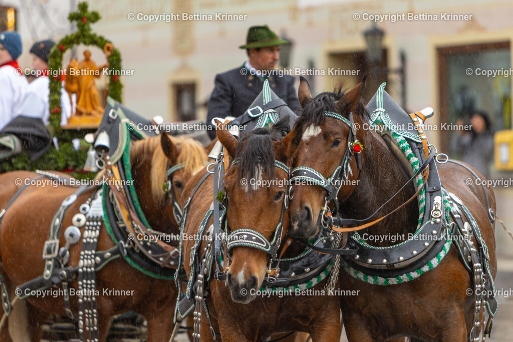 LL25-283 | foto-bettina-krinner - Realisiert mit Pictrs.com