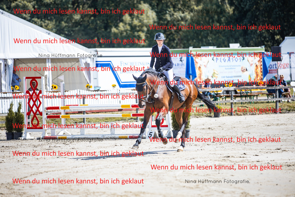 BK1A5006 | Turnierbilder Turnierfotos Nina Hüffmann Turnierfotografie Pferdefotografie Tierzeichnung Haustierzeichnung Pferdezeichnung Hundezeichnung Videograf  - Realisiert mit Pictrs.com