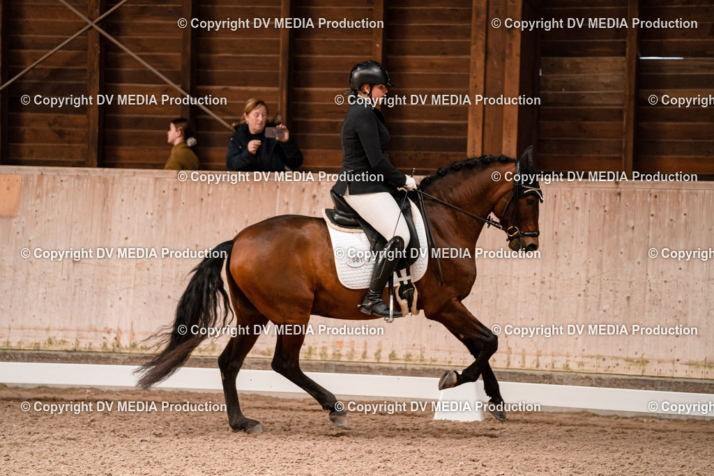 Dressur Tag 2-330 | dv-media-shop - Realisiert mit Pictrs.com