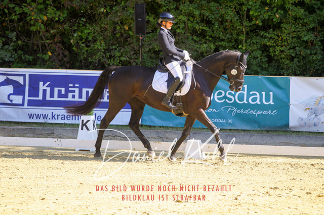 DKP41787 | Turniersportfotografie; Pferdefotografie; Dressurfotografie