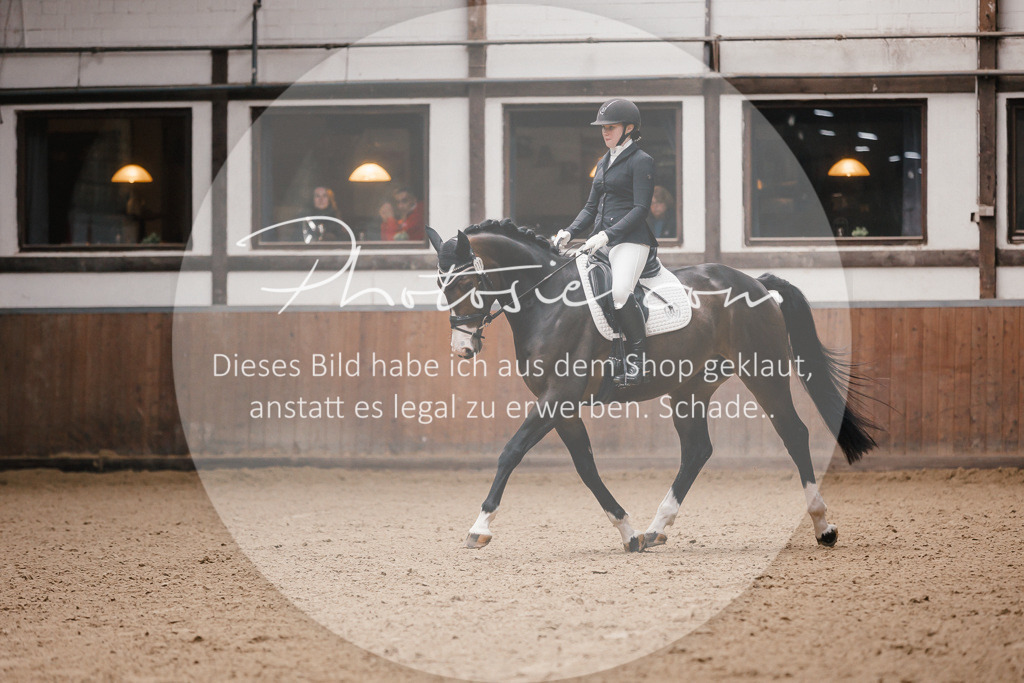 3I6A7179 | Stimmungsvolle Portraits und Reitsportfotografie im Ruhrgebiet und im Münsterland.

Pferdefotografie, Hundefotografie, Tierfotografie, Reportagen, Portraits von Tier und Mensch, Turnierfotografie in Bochum, Recklinghausen, Marl, Haltern am See, Dülmen.. - Realisiert mit Pictrs.com