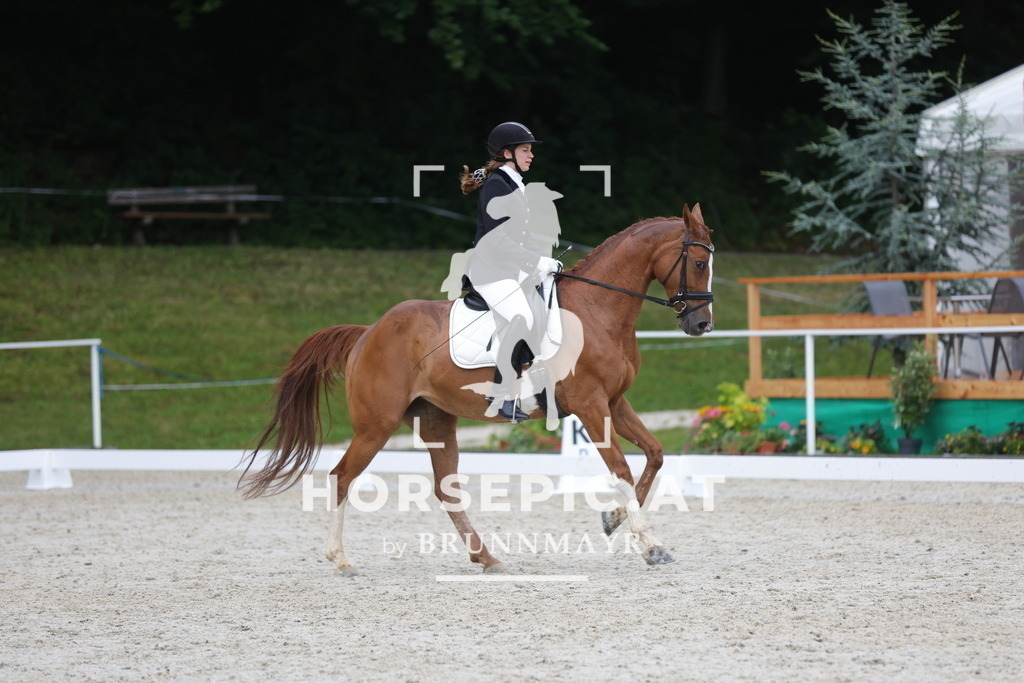 0P6A3629 | Willkommen bei Brunnmayr - Design & Fotografie – Ihrem Spezialisten für Reitturniere und Pferdeveranstaltungen in Oberösterreich, Salzburg und Bayern! Seit über 17 Jahren sind wir leidenschaftlich dabei.