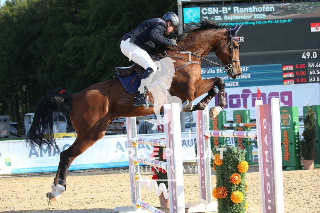DL2Q5731 | Willkommen bei Brunnmayr - Design & Fotografie – Ihrem Spezialisten für Reitturniere und Pferdeveranstaltungen in Oberösterreich, Salzburg und Bayern! Seit über 17 Jahren sind wir leidenschaftlich dabei.