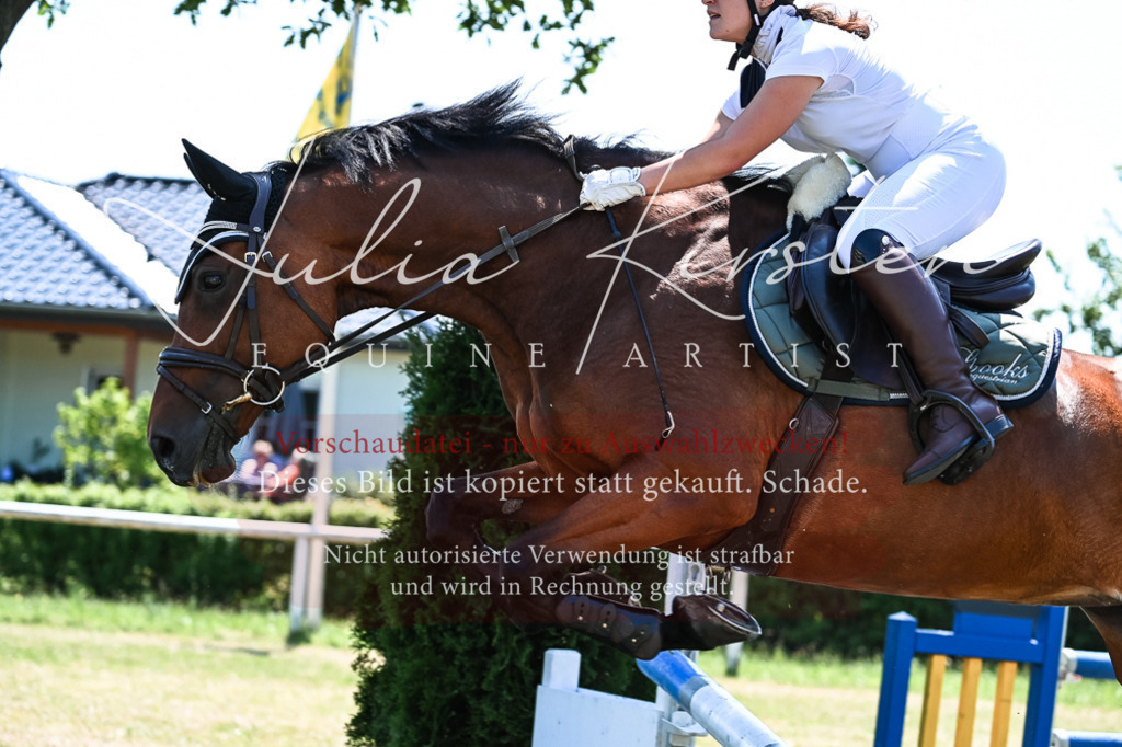 DSC_0405 | Pferde- und Turnierfotografie in Westsachsen. Pferdeportraits, Auftragszeichnungen und intuitive Kunst.