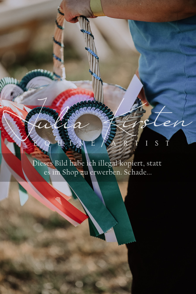 DSC_0228 | Pferde- und Turnierfotografie in Westsachsen. Pferdeportraits, Auftragszeichnungen und intuitive Kunst.