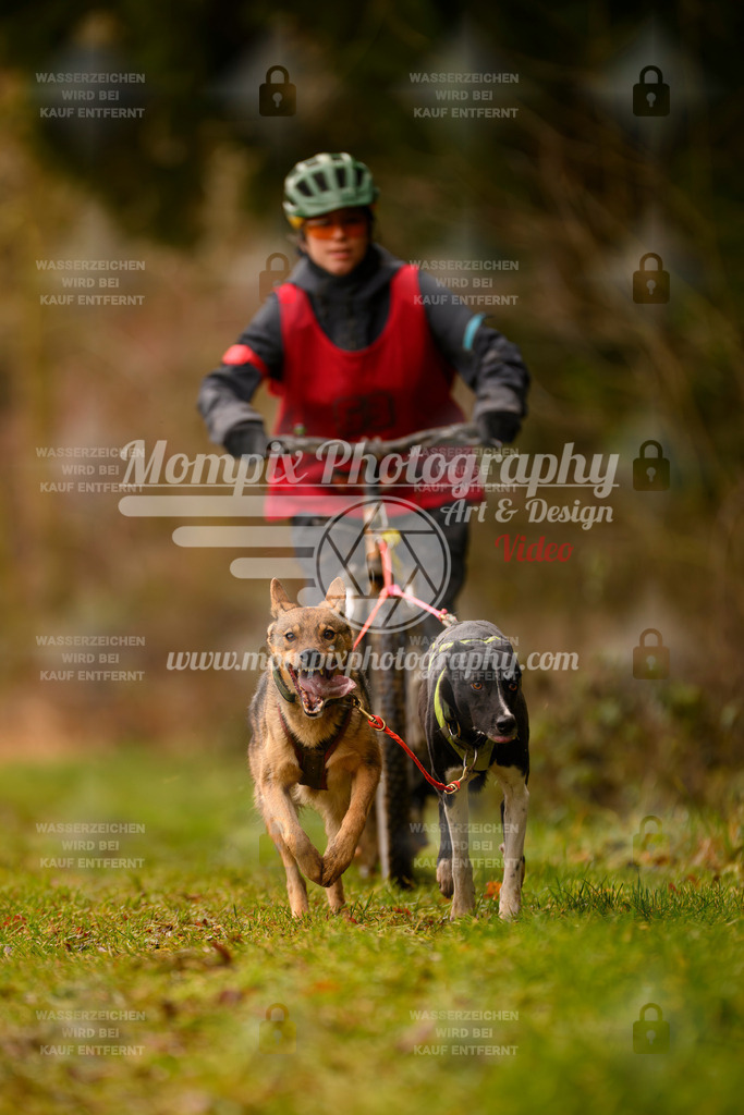 MompixPhotography_2SSTSSBW_2025_SO_Scooter-98 | PayLife