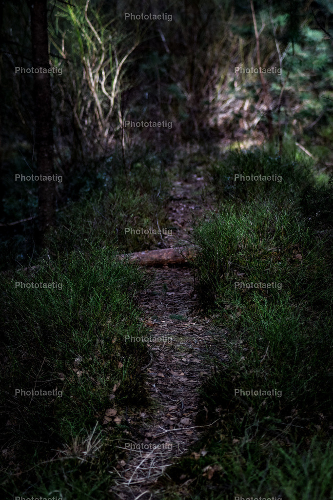 IMG_9136 | phototaetig