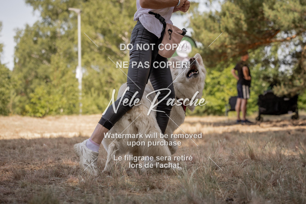 nelerasche_soDD2_180 | nelerasche