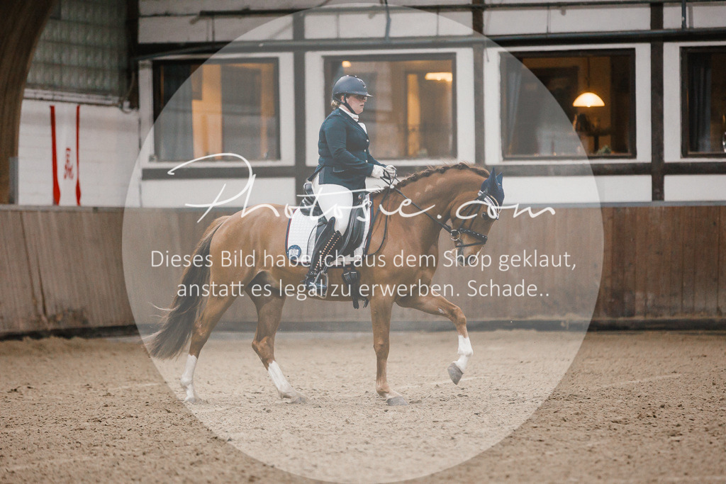 3I6A5957 | Stimmungsvolle Portraits und Reitsportfotografie im Ruhrgebiet und im Münsterland.

Pferdefotografie, Hundefotografie, Tierfotografie, Reportagen, Portraits von Tier und Mensch, Turnierfotografie in Bochum, Recklinghausen, Marl, Haltern am See, Dülmen.. - Realisiert mit Pictrs.com