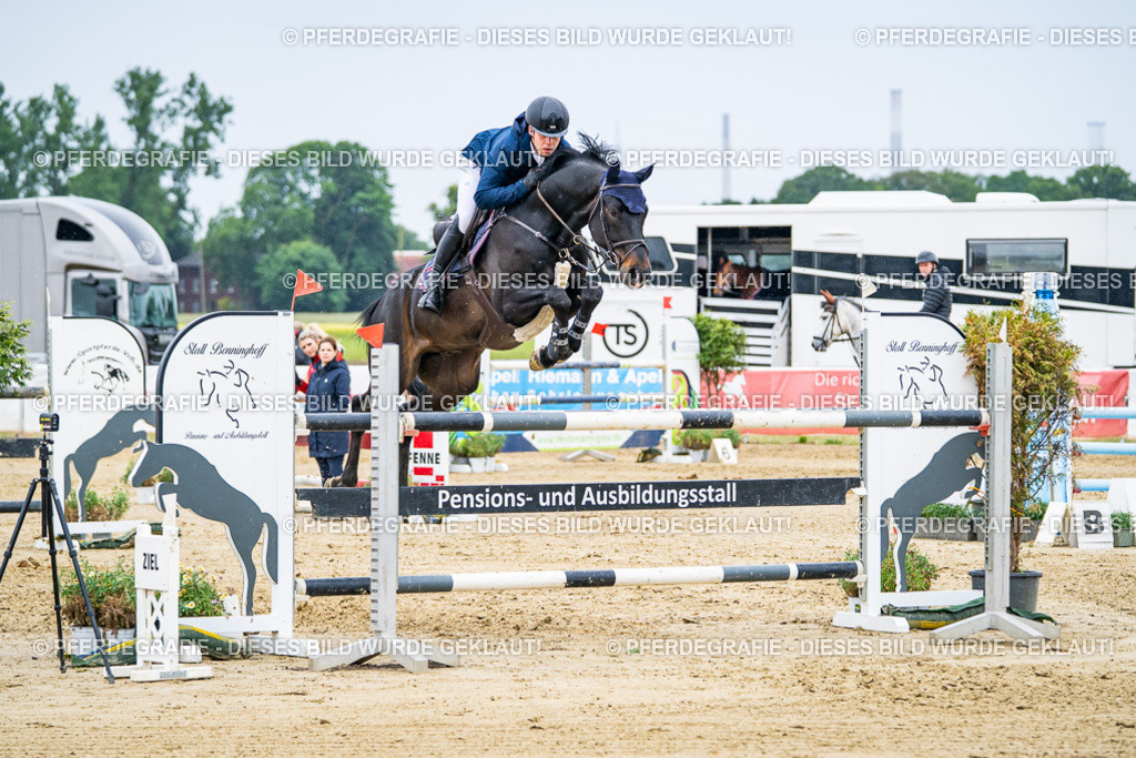 DSC08338 | Pferdegrafie