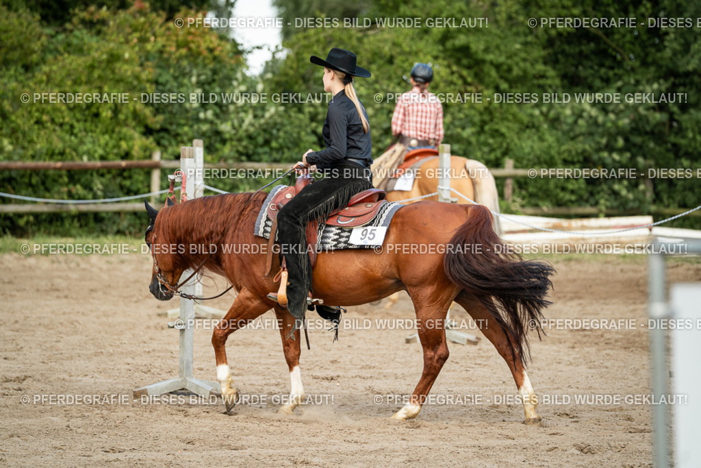 DSC05960 | Pferdegrafie