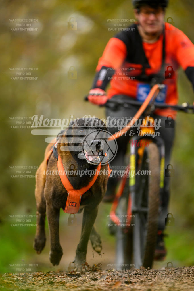 MompixPhotography_20TSB_E6_Bike-173 | PayLife