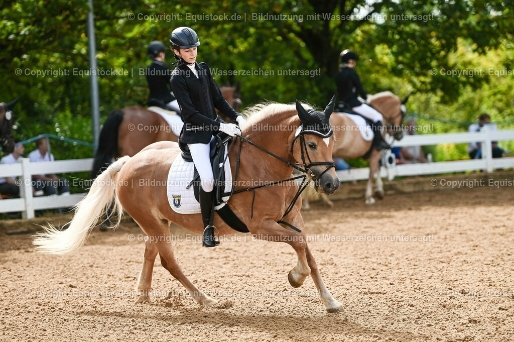 20230716_10-1_Reiter-WB Schritt - Trab - Galopp_0212 | equistock