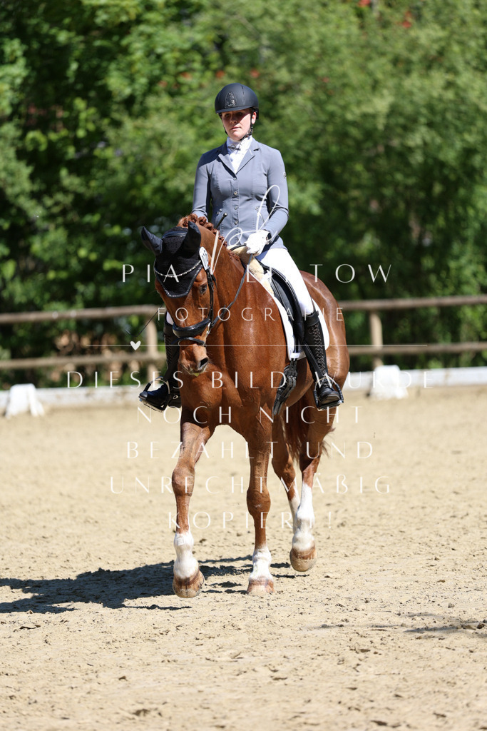 IMGS0917 | pl-fotografie