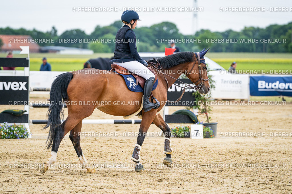 DSC06123 | Pferdegrafie