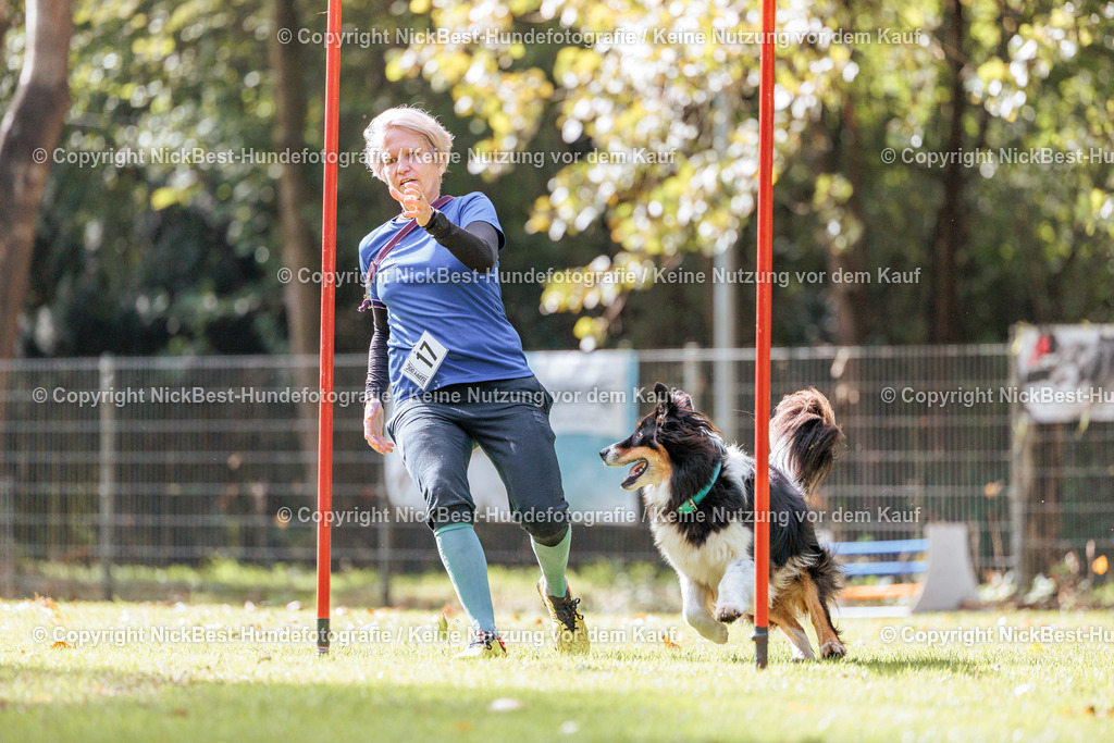 THS-HSV-Blumenthal-2026-Nickbest-Hundefotografie-2905 | Dein Hund! Dein Moment! Deine Erinnerungen! Hundefotografie in Bremen Blumenthal. Ich fange die besonderen Momente deines Vierbeiners ein – ob Indoor mit Blitzanlage oder in der freien Natur. Sicher dir dein Moment und dein Termin für eure Erinnerungen.