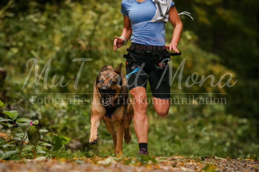 20251005_THS_Turnier-121 | MuT (Mensch und Tier) mit Mona - Fotografie und Tierkommunikation - Realisiert mit Pictrs.com