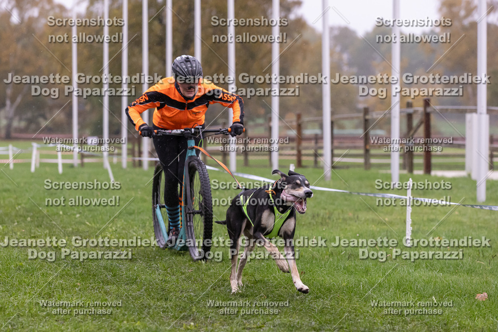 Dog Paparazzi - SD CaniX Championship 2025-897 | Dog Paparazzi Jeanette Grottendiek Fotografie & Videografie - Realisiert mit Pictrs.com