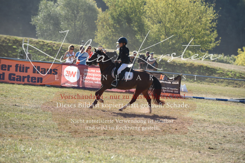 DSC_5772 | Pferde- und Turnierfotografie in Westsachsen. Pferdeportraits, Auftragszeichnungen und intuitive Kunst.