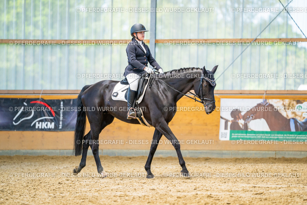 DSC08029 | Pferdegrafie