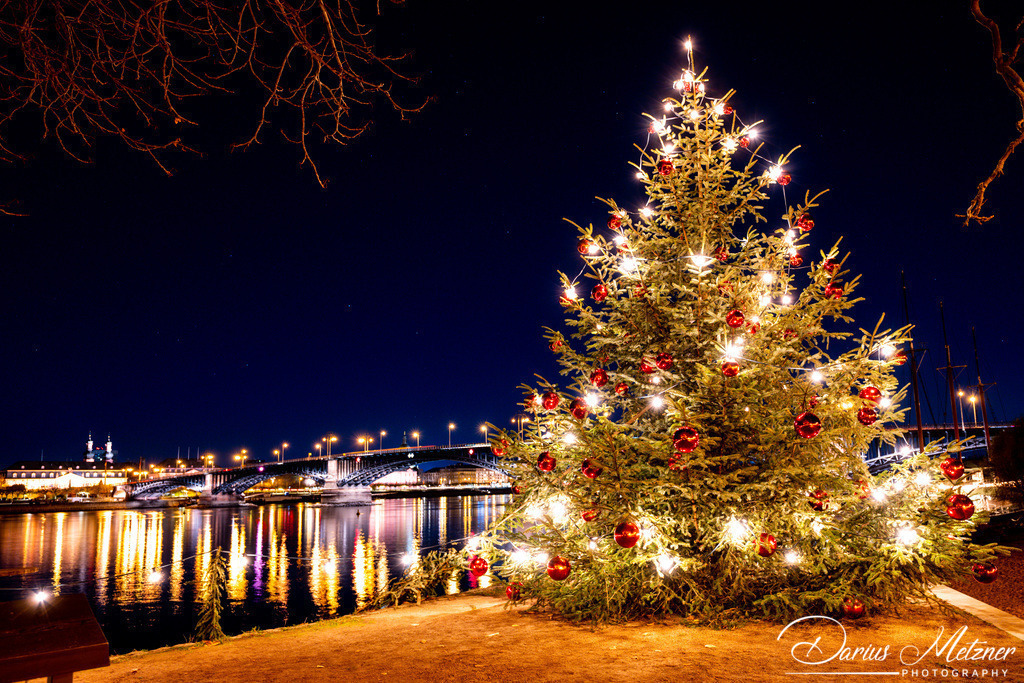 Weihnachten in Mainz | Bilder mit Weihnachtsstimmung aus Mainz am Rhein