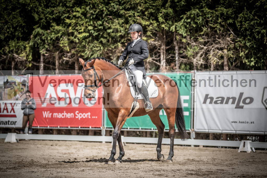 DSC_2391 | equestrian-live-com