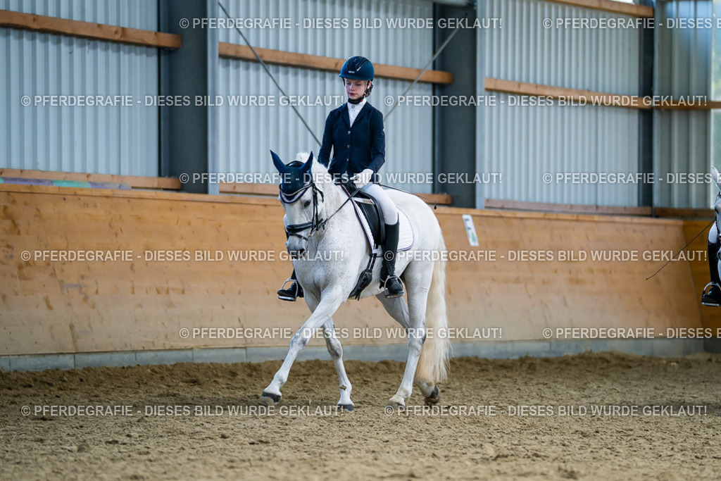 DSC05524 | Pferdegrafie