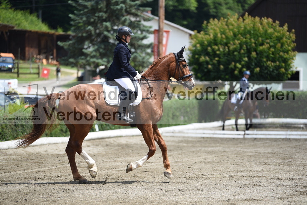 DSC_9380 | equestrian-live-com