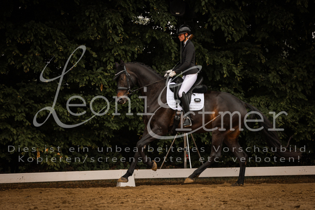 DoDrA00361 | Leoni Ertmer Photography - Realisiert mit Pictrs.com