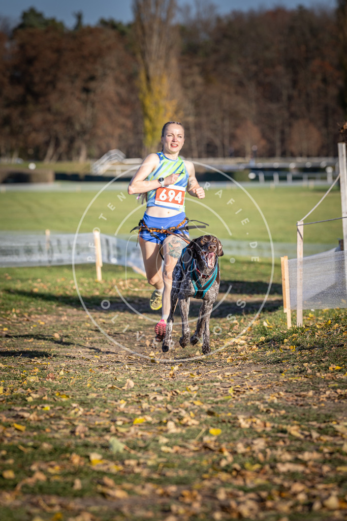CaniXpix_DV3A1344 | Hundefotografie, Tierfotograf, Pfotenfotografie, Fotoshooting Hund, Hunde Portrait, Hundesport, Hundeportraits, Heideshooting, Hunde, Sportfotograf, Hundefotograf, Turnierhundsport, THS,  - Realisiert mit Pictrs.com