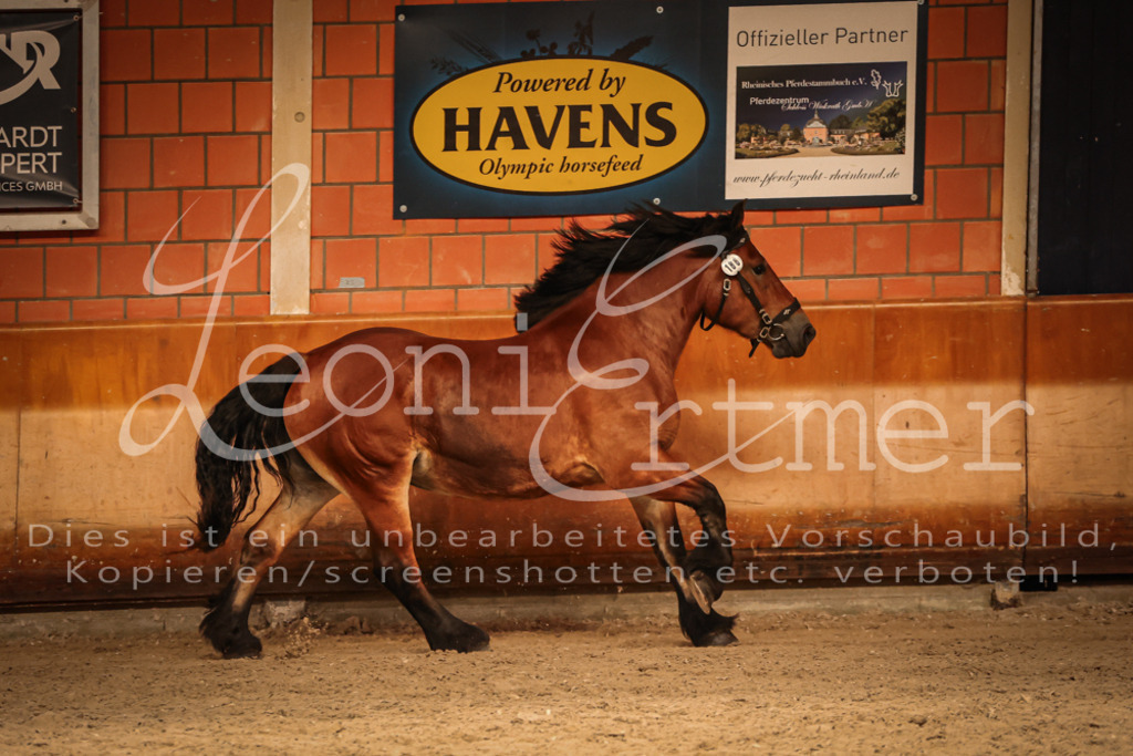 SaFL00157 | Leoni Ertmer Photography - Realisiert mit Pictrs.com