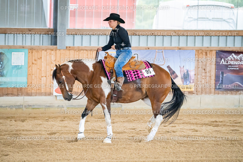 DSC06442 | Pferdegrafie