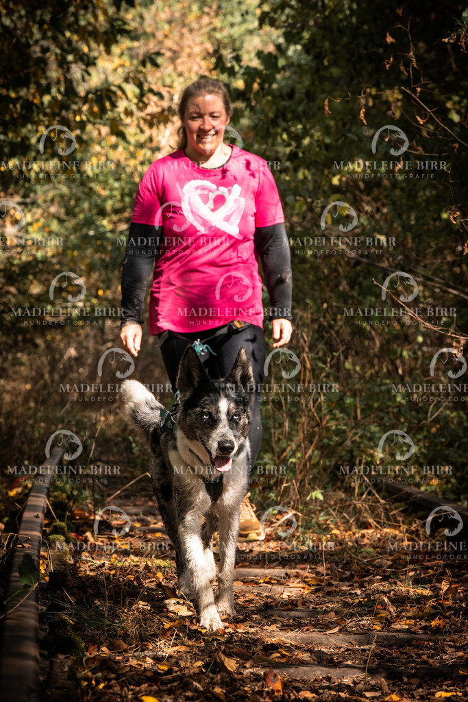 madeleinebirr.fotografie.2026.cc.hunsrueck.12-13Uhr.87 | hundefotografie-birr