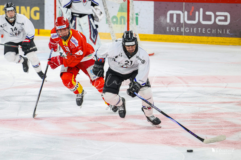 EHCB Spirit vs HCFG_wb-7377 | Sportbilder, Sportfotograf, Hochzeits- und Eventfotografin, Flugshows, Portraits und Tiershooting, Aviation, Downhill, Nationalleague, Swissleague, International