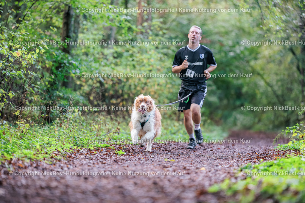 THS-HSV-Blumenthal-2026-Nickbest-Hundefotografie-0785 | Dein Hund! Dein Moment! Deine Erinnerungen! Hundefotografie in Bremen Blumenthal. Ich fange die besonderen Momente deines Vierbeiners ein – ob Indoor mit Blitzanlage oder in der freien Natur. Sicher dir dein Moment und dein Termin für eure Erinnerungen.