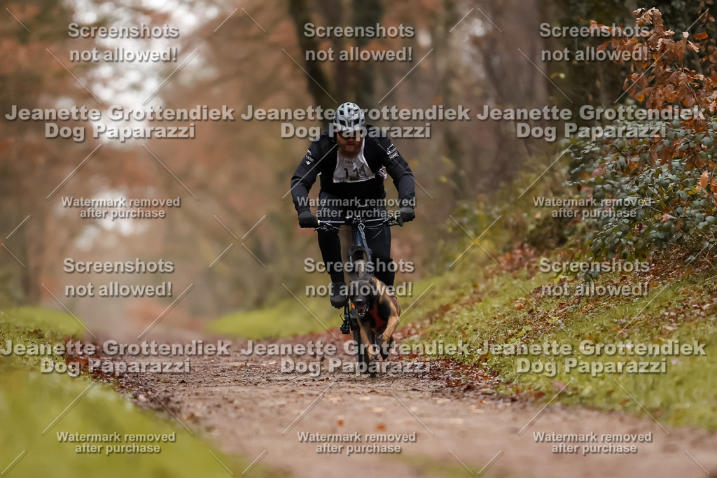Dog Paparazzi - Speedhunter Mannheim  2025-33 | Dog Paparazzi Jeanette Grottendiek Fotografie & Videografie