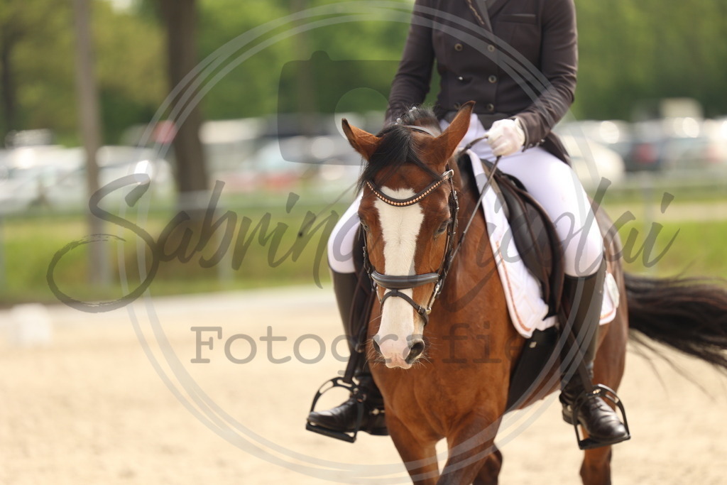 994A6920 | sabrinanicolaifotografie - Realisiert mit Pictrs.com