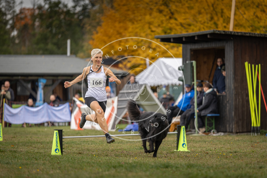 Pfotenfotografie_DV3A6269 | Hundefotografie, Tierfotograf, Pfotenfotografie, Fotoshooting Hund, Hunde Portrait, Hundesport, Hundeportraits, Heideshooting, Hunde, Sportfotograf, Hundefotograf, Turnierhundsport, THS,  - Realisiert mit Pictrs.com