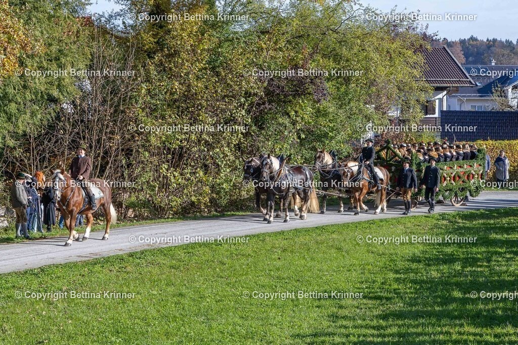 LBT24-729 | foto-bettina-krinner - Realisiert mit Pictrs.com