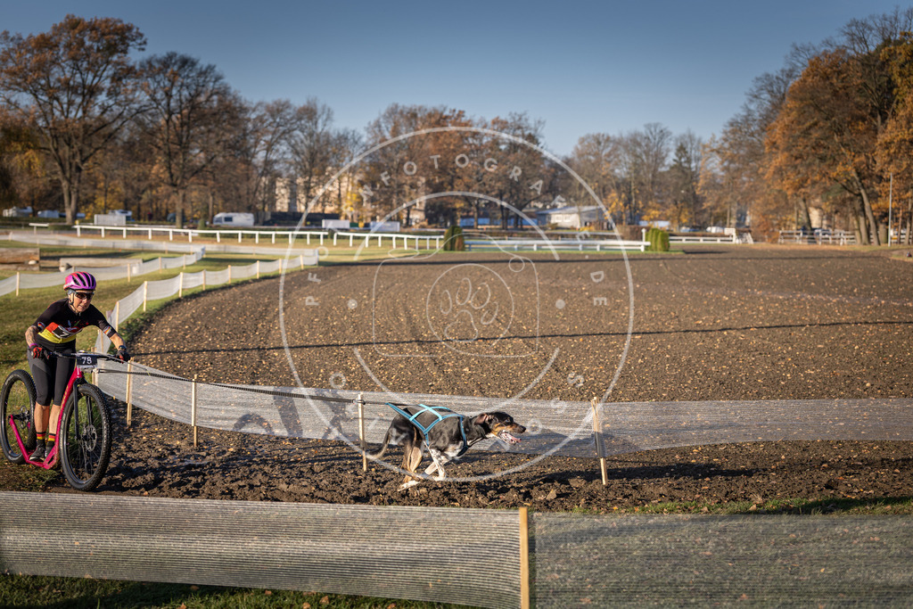 CaniXpix_DV3A1483 | Hundefotografie, Tierfotograf, Pfotenfotografie, Fotoshooting Hund, Hunde Portrait, Hundesport, Hundeportraits, Heideshooting, Hunde, Sportfotograf, Hundefotograf, Turnierhundsport, THS,  - Realisiert mit Pictrs.com
