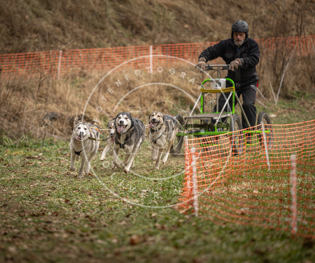 Pfotenfotografie_DV3A8345 | Hundefotografie, Tierfotograf, Pfotenfotografie, Fotoshooting Hund, Hunde Portrait, Hundesport, Hundeportraits, Heideshooting, Hunde, Sportfotograf, Hundefotograf, Turnierhundsport, THS,  - Realisiert mit Pictrs.com