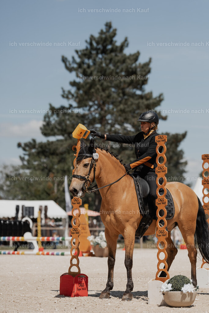 WE_ST_Stoib_319_PI2025_1277 | Pferd International München 2025