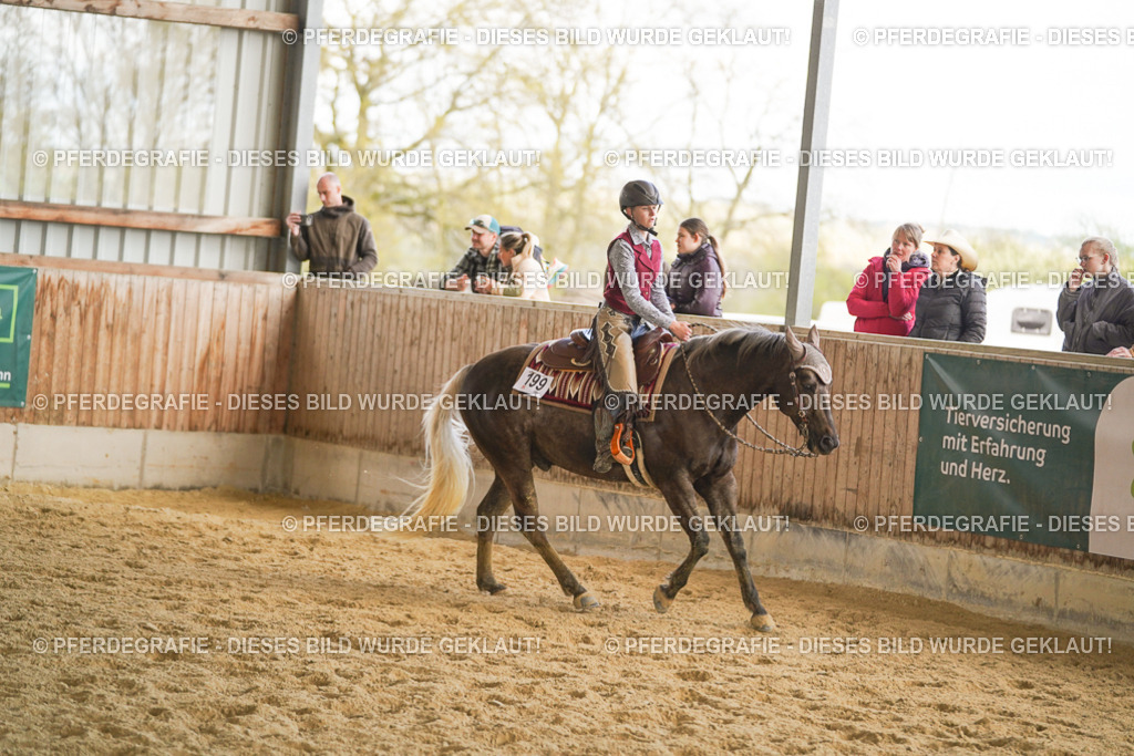 DSC08853 | Pferdegrafie