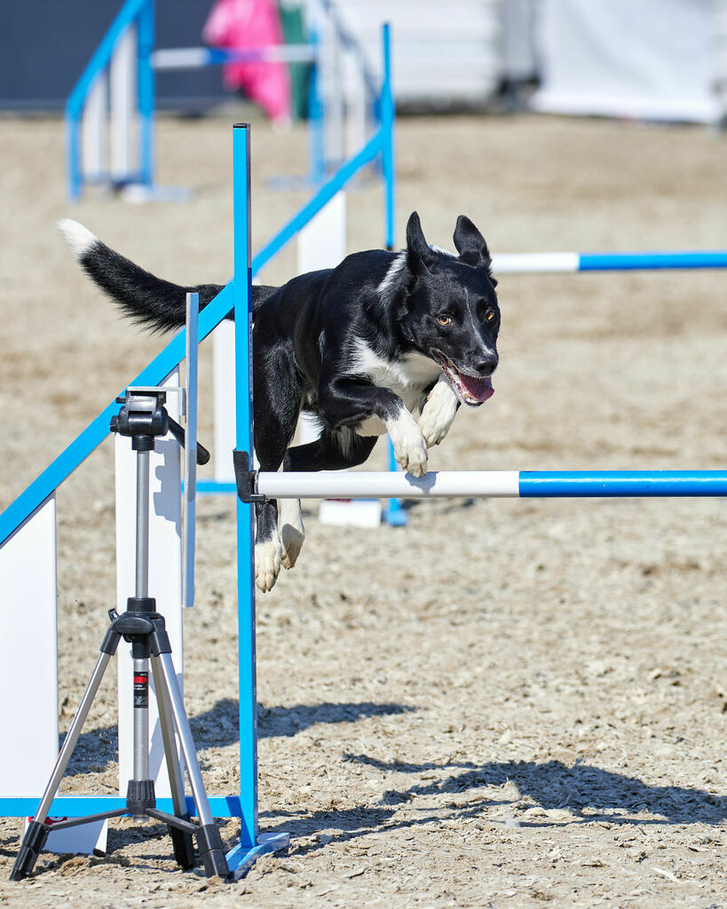 580A0196 | Peter Fridle Fotografie - Realisiert mit Pictrs.com