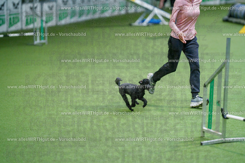 @allesWIRTHgut_Tierfotografie - www.allesWIRTHgut.de - 2604250859-7R508261 | Professionelle Tierfotografie in Mönchengladbach von Daniel Wirth (allesWIRTHgut). Liebevolle & natürliche Bilder von Hunden & Katzen für unvergessliche Erinnerungen.