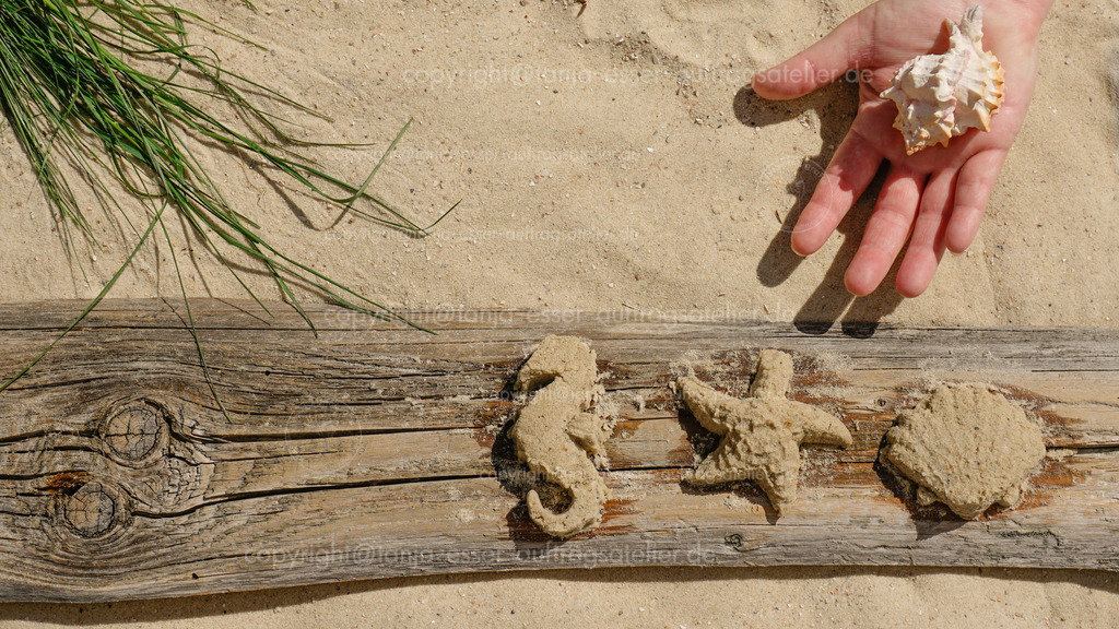 leisure aktivity at the beach 2 D | Am Sandstrand mit Dünengras ist eine kleine Hand mit einer Muschel zu sehen. Treibholz und Sandfiguren. Urlaubsaktivität.